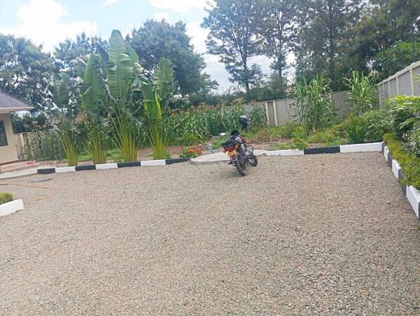 A gravel driveway with a parked motorcycle, surrounded by greenery and a building in the background.