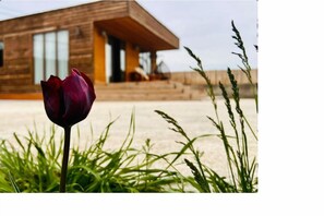 Exterior - eko VİLLA (T'bilisi)