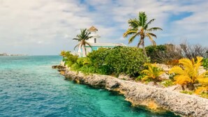 A coastal scene with a white building, palm trees, and a stone wall by the sea. - Taino Beach Vacation Resort. (Freeport)