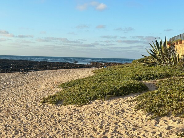 A sandy beach with green vegetation and a rocky shoreline.