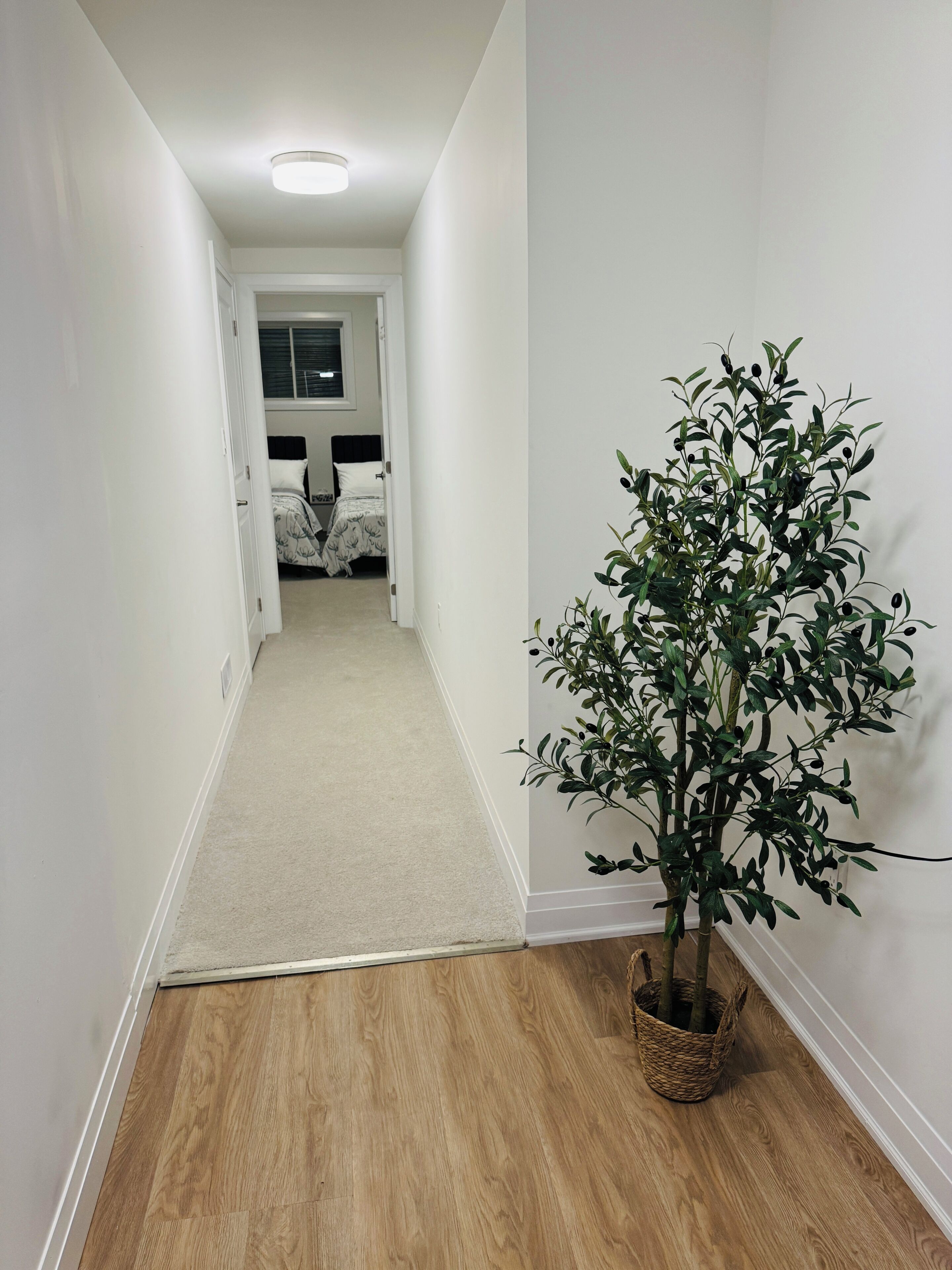 1 bedroom, desk, WiFi, bed sheets