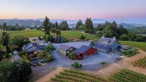 A vineyard property with multiple buildings, including a main house and several smaller structures, surrounded by rows of grapevines. - Luxury Forestville Ranch: Pool+Hot Tub+Fire Pit (Forestville)