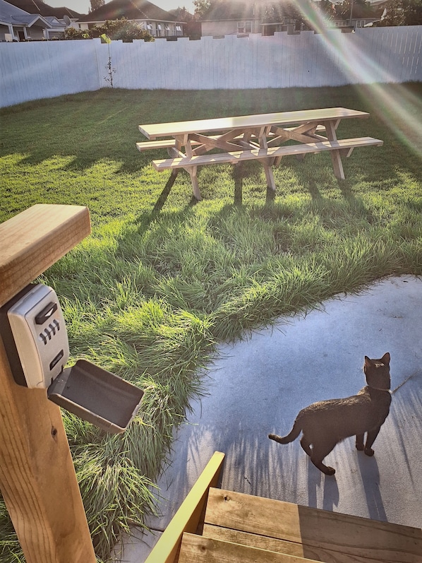 Un banc en bois doté d’une structure métallique, une clôture blanche et un chat sur une surface en béton.
