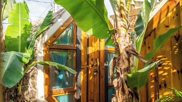 A wooden house with a window and a door, surrounded by banana plants. - The Sandpit by Lepute (Loíza)