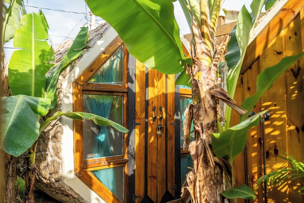 A wooden house with a window and a door, surrounded by banana plants.