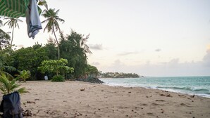 A beach with palm trees and a view of the ocean. - The Sandpit by Lepute (Loíza)