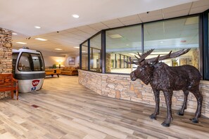 Eine Empfangshalle mit Steinwand, einem Skulptur eines Elchs, einem Gepäckwagen und einer Bank.