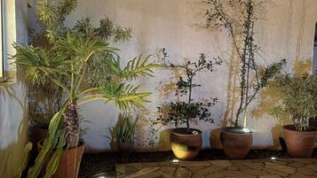 Comfort Suite, Air conditioning, Poolside | Interior