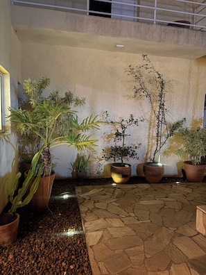 Une cour avec des plantes en pot, un sol en pierre et un mur blanc.