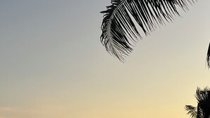 Eine Strandansicht mit Sonnenuntergang, Palmen und einer Person, die rennt.
