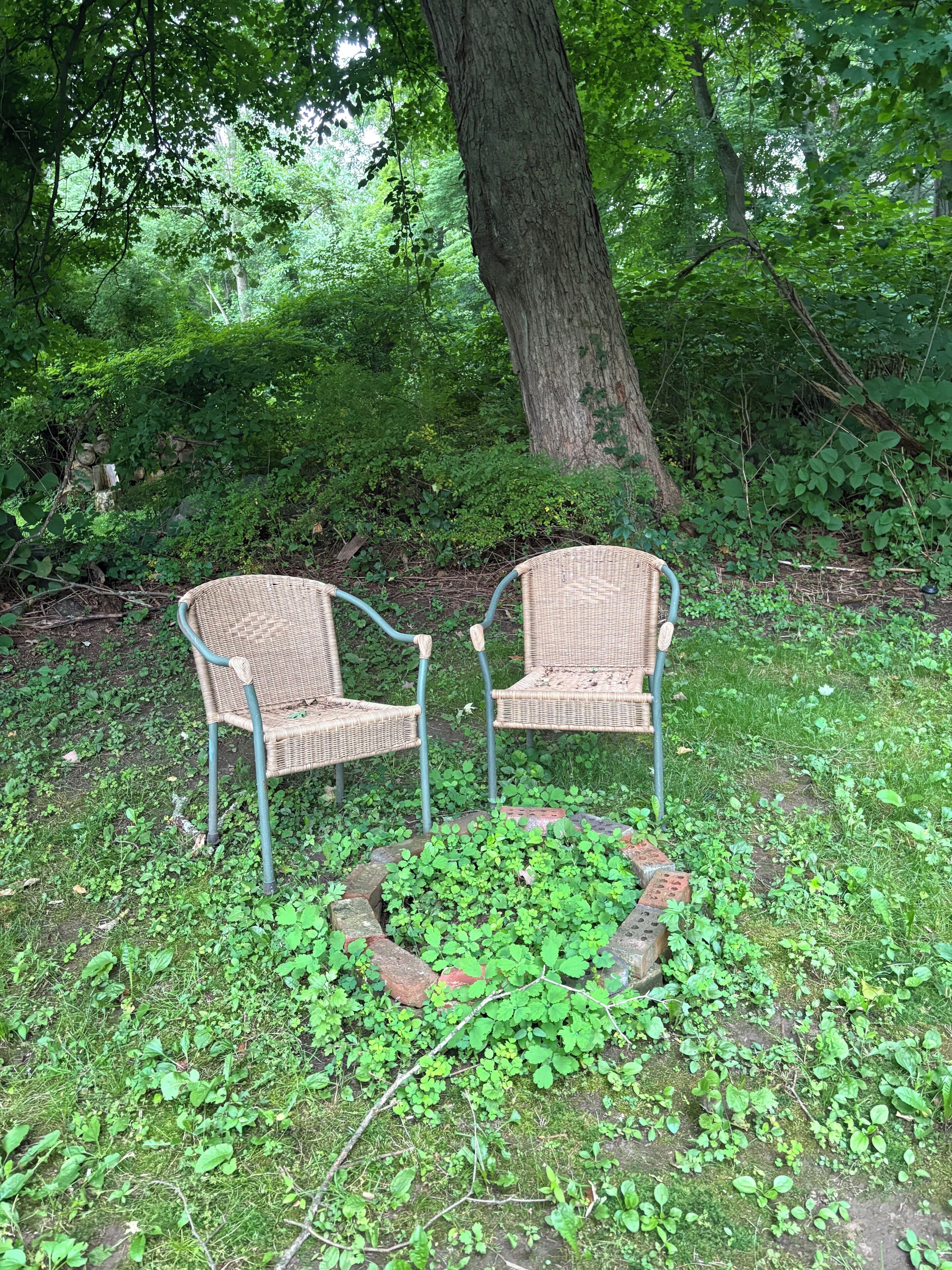 Two wicker chairs with metal frames, positioned on a grassy area with a circular brick pattern in the center, surrounded by dense green foliage.