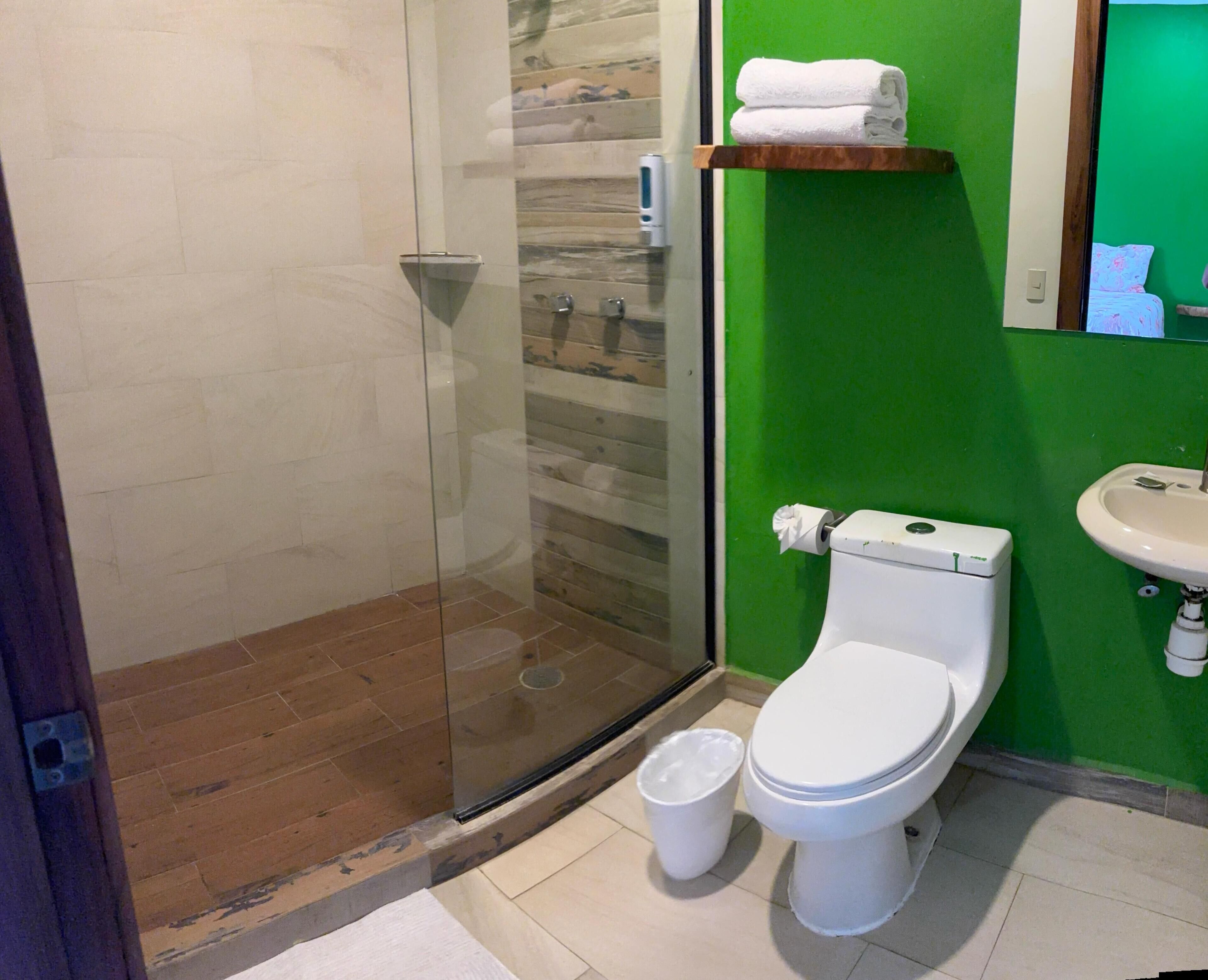 Shower, towels, soap, toilet paper