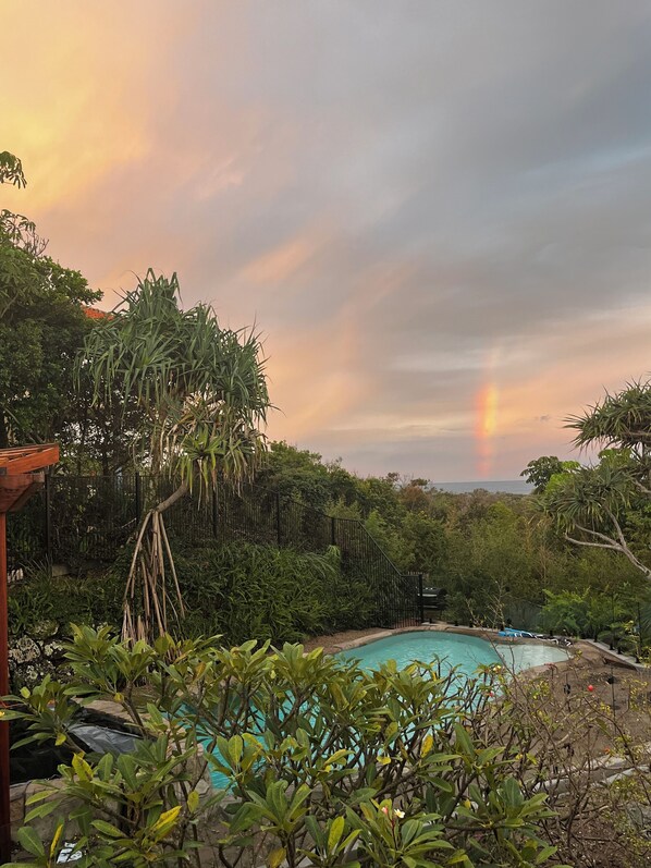 A swimming pool surrounded by lush greenery and a wooden pergola.
