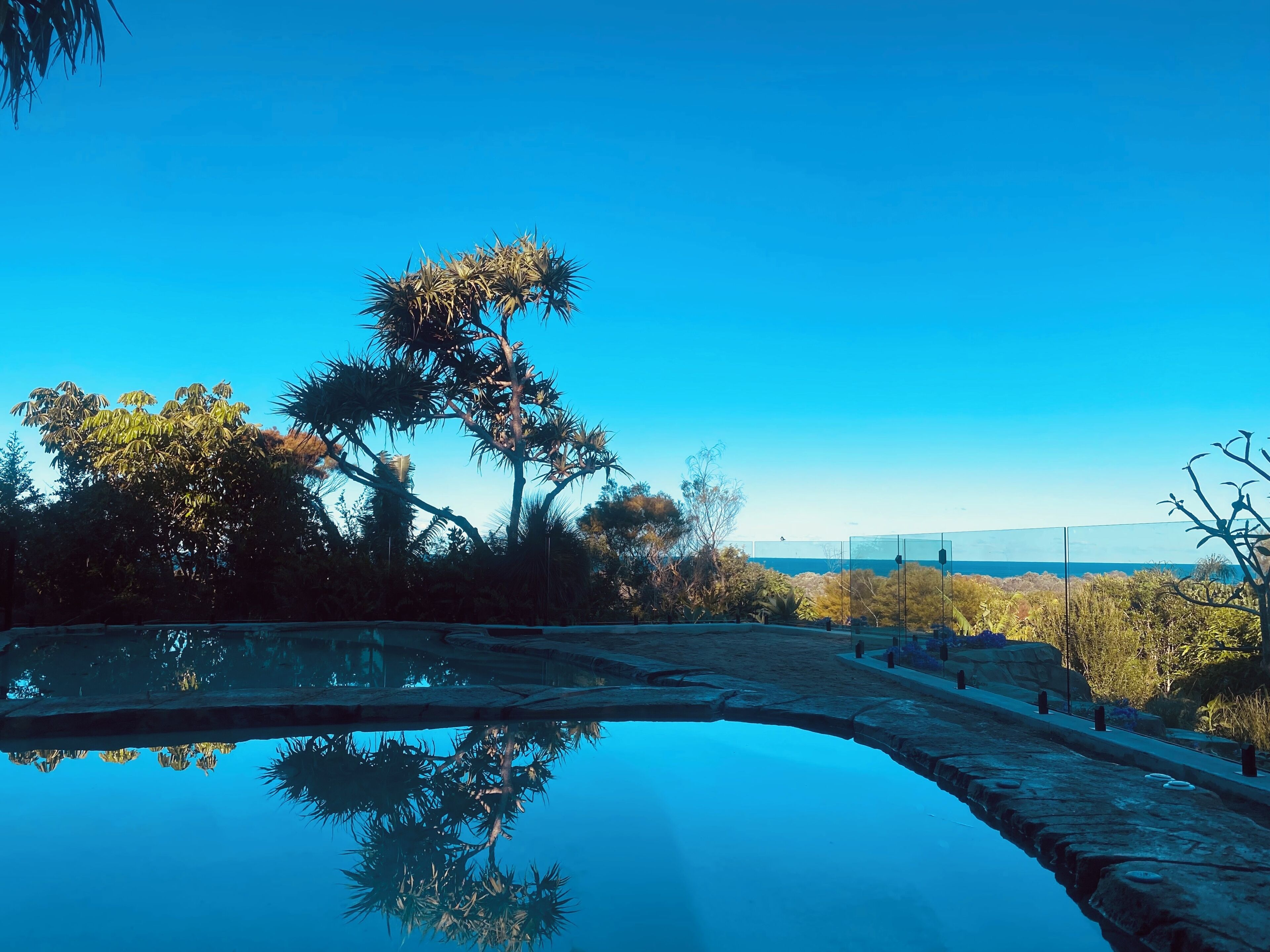 A clear sky, a calm reflective pool, and a variety of trees.. Byron Bay 360 views - chemical free pool, hot tub & sauna - pet friendly