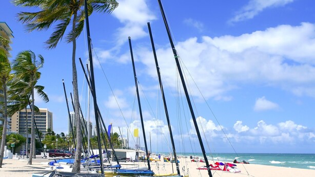 Une plage où sont amarrés plusieurs bateaux, avec des palmiers et un ciel bleu dégagé.