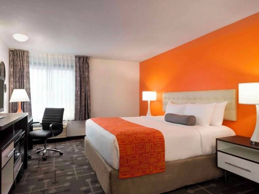 A hotel room with a bed, two bedside lamps, a desk with a television, a chair, and a carpeted floor.