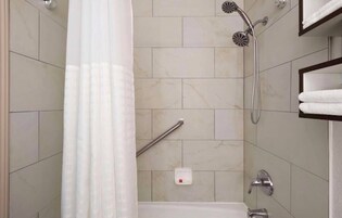 Combined shower/tub, free toiletries, hair dryer, towels