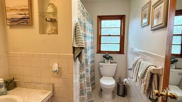 A bathroom with a toilet, sink, and shower area.