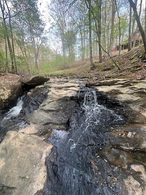 Un arroyo serpentea entre rocas en un área boscosa.