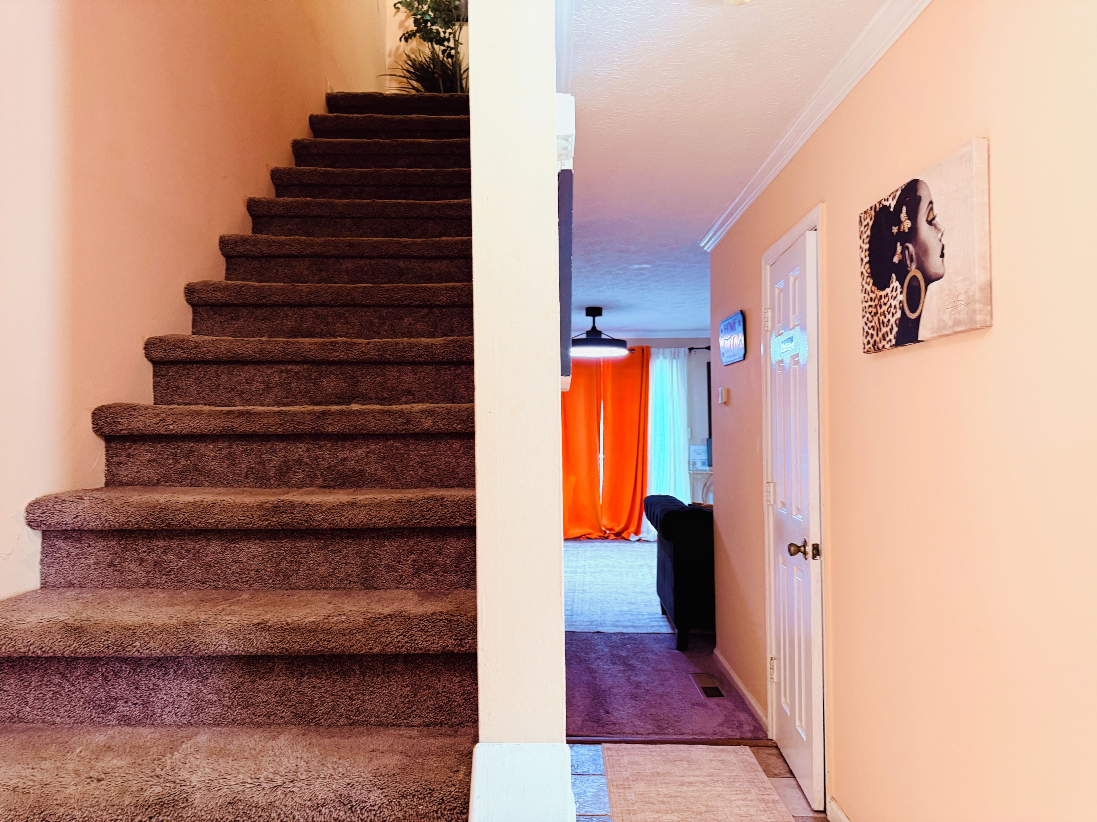 A carpeted staircase leading to a room with a door, a wall-mounted picture, and a visible ceiling light fixture.