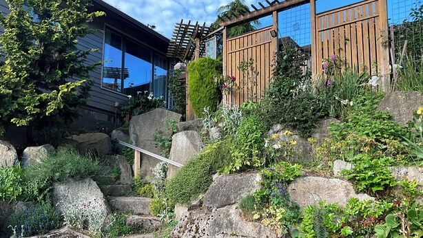 Een woonwijk met een huis, een houten pergola en een tuin met diverse planten en rotsen.