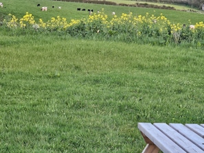 Un campo cubierto de césped con flores amarillas y un banco de madera al frente.
