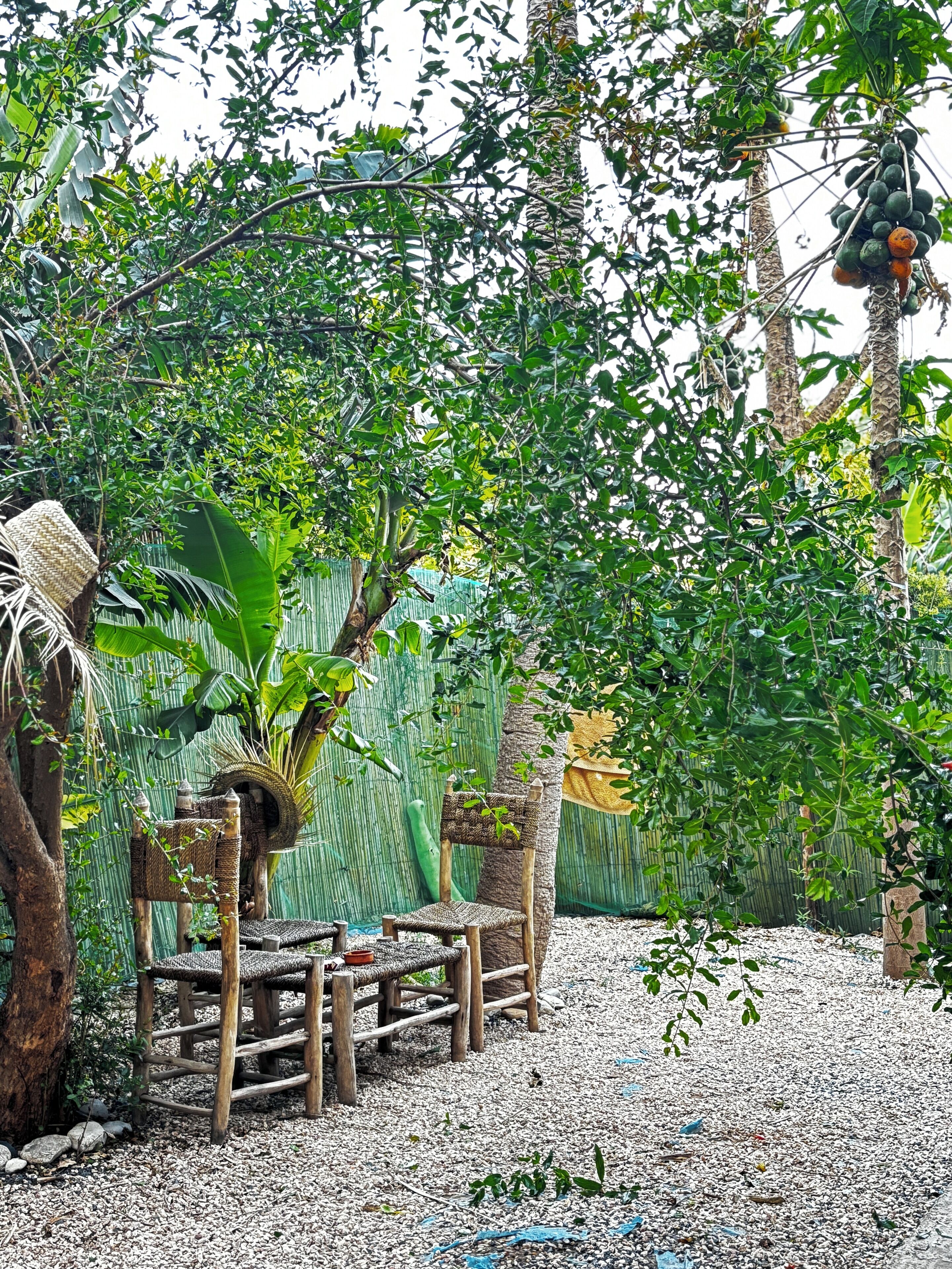 Terraza o patio