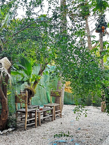 Garden view Double Room• 3Min walk to Banana Beach Tamraght .