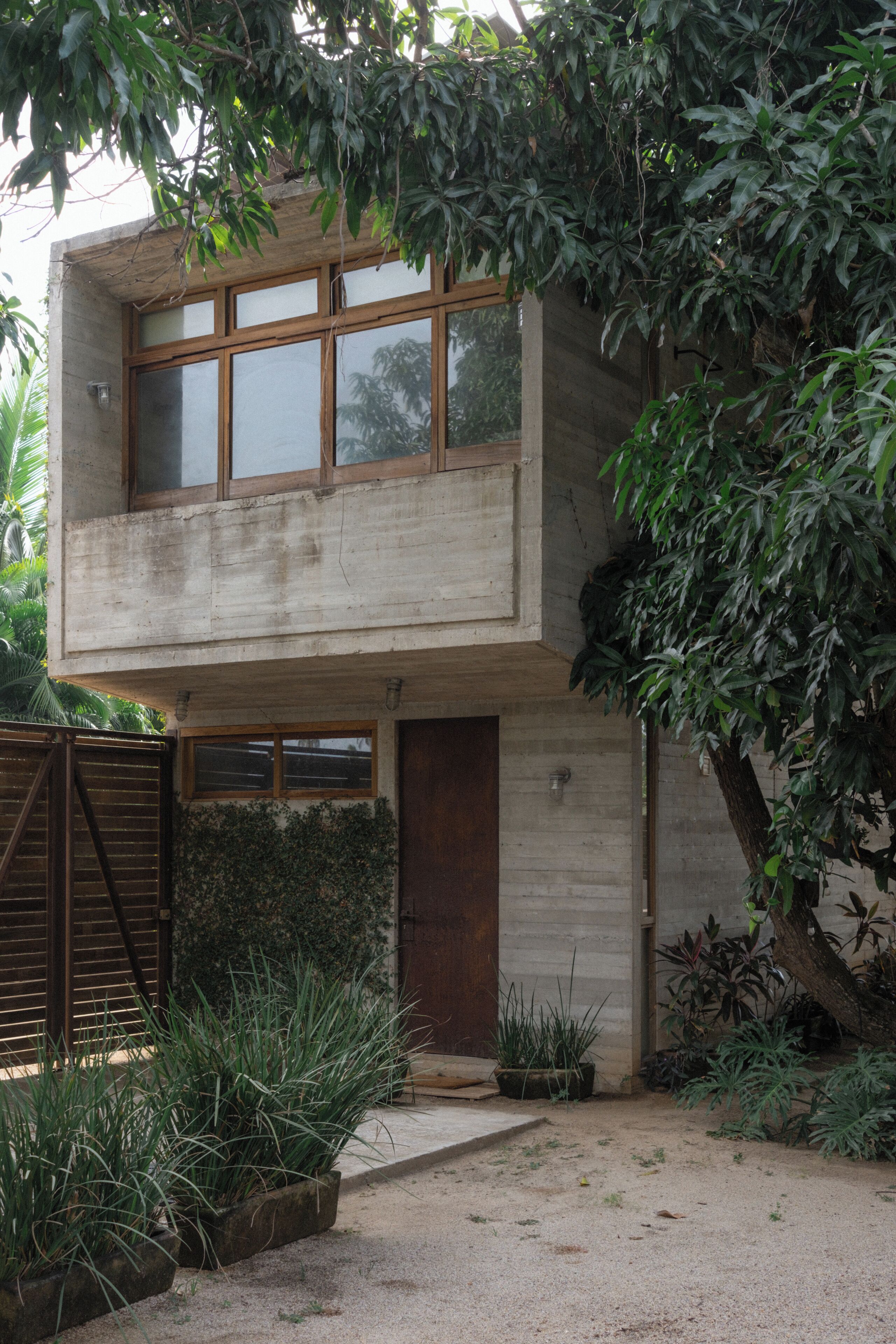 Un edificio de concreto de dos pisos con ventanas amplias, una puerta de madera y un pequeño jardín con plantas.