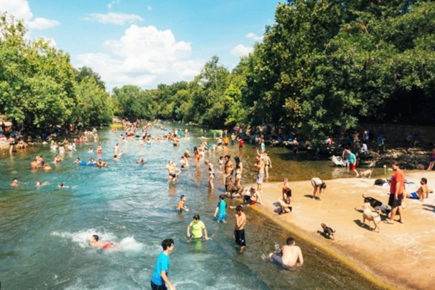 Ein belebtes Schwimmbecken im Freien, umgeben von Bäumen.