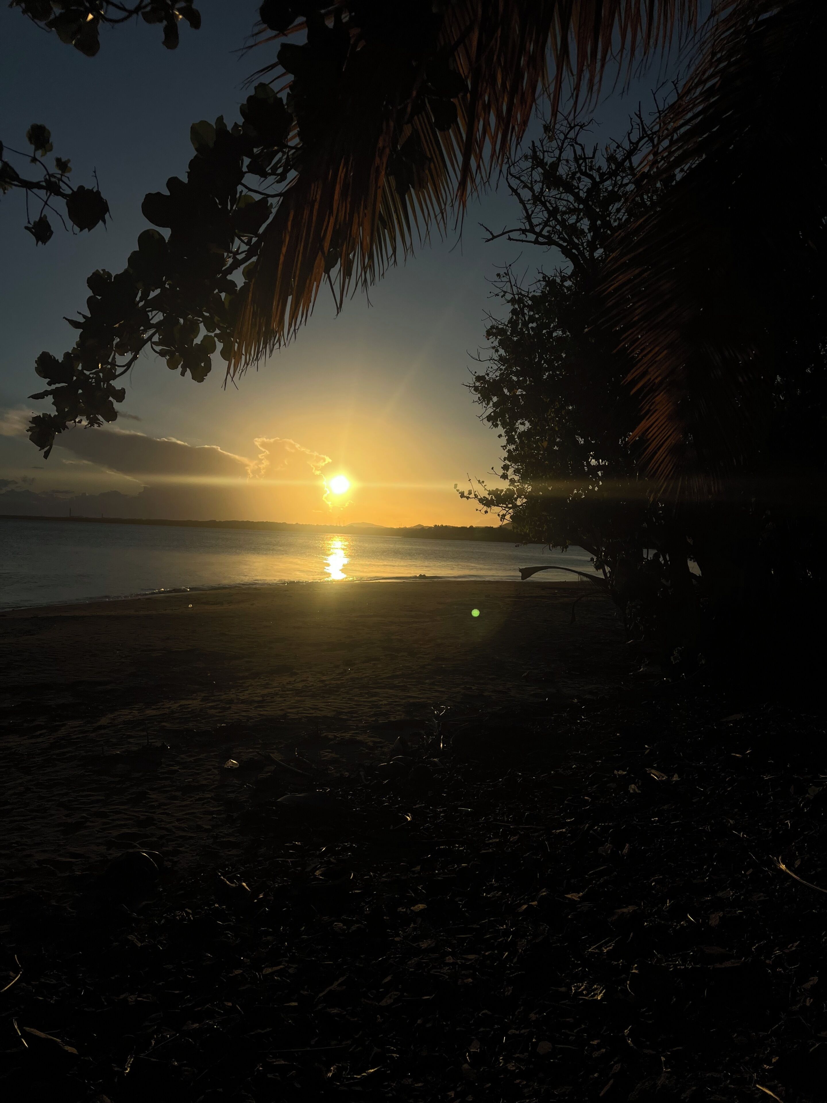 A beach scene with the sun setting over the water, palm trees, and a distant shoreline.. Family house with Sea View