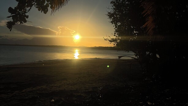 A beach scene with the sun setting over the water, palm trees, and a distant shoreline.