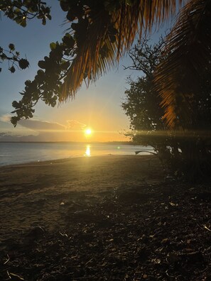 A beach scene with a sunset, palm trees, and a hammock. - Family house with Sea View (arroyo)