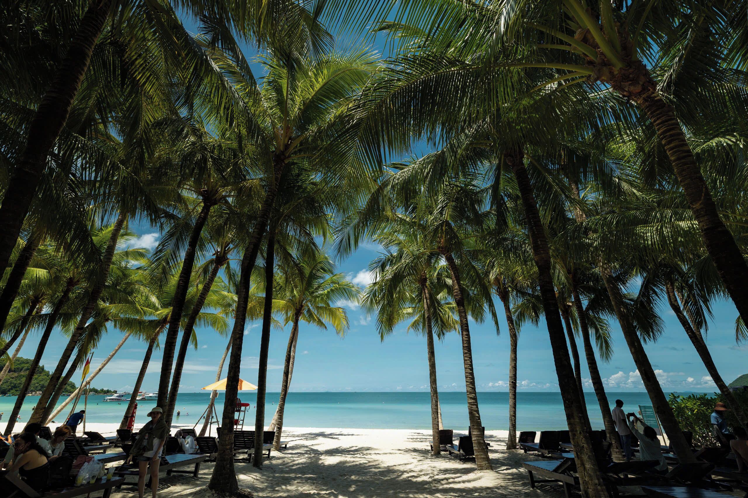 Beach nearby, white sand, free beach shuttle, sun-loungers