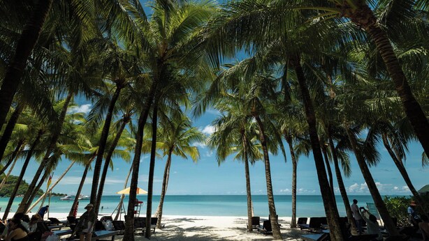 Een strand met palmbomen, een zandstrand en een helderblauwe lucht.
