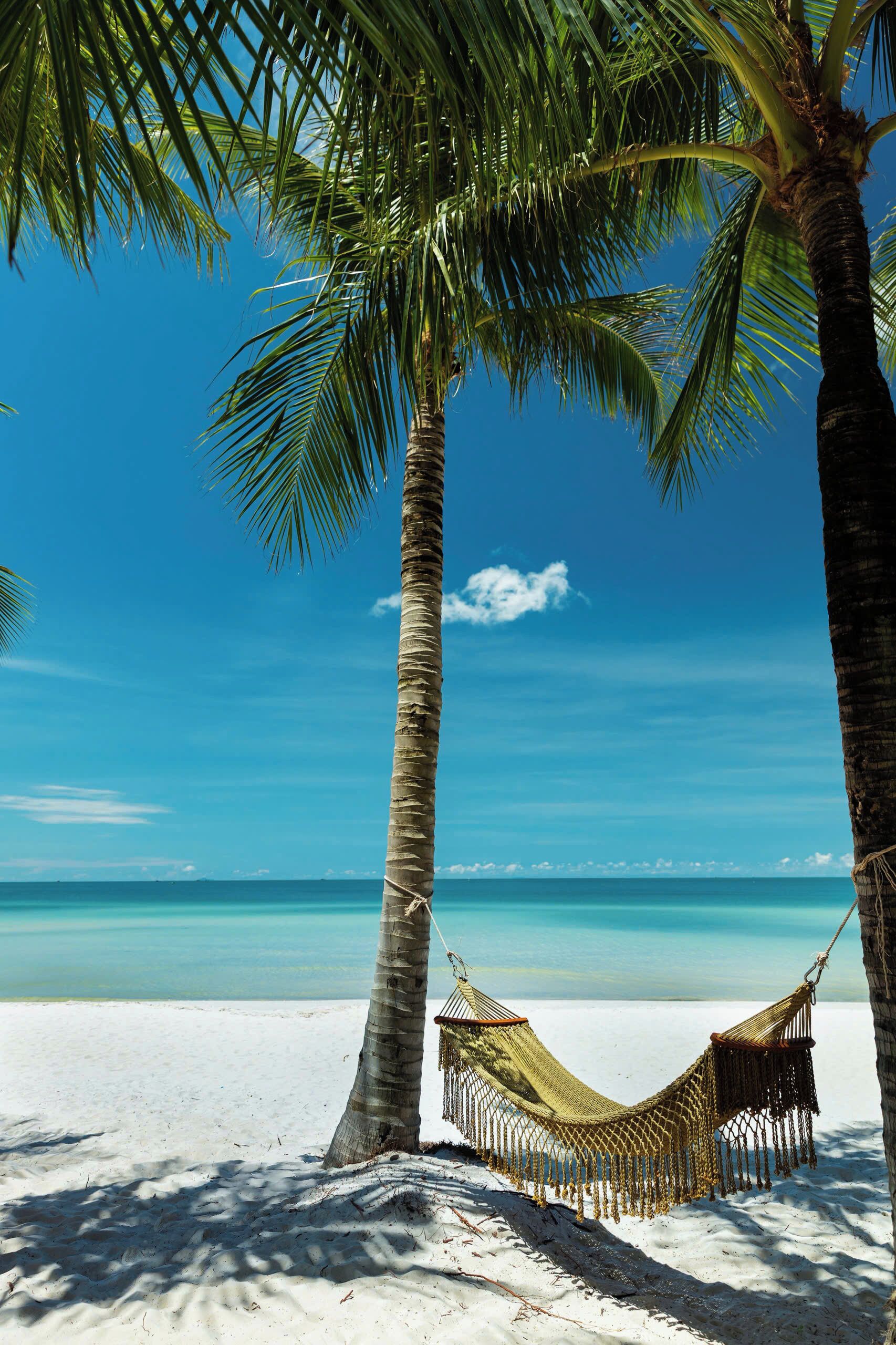 Beach nearby, white sand, free beach shuttle, sun loungers