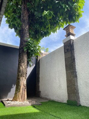 Ein Baum in einem Innenhof mit einer weißen Mauer und einem strukturierter Mauerpartie.