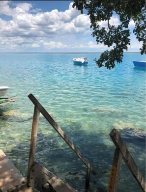 Mar azul transparente con barcos, un muelle de madera y una rama de árbol.