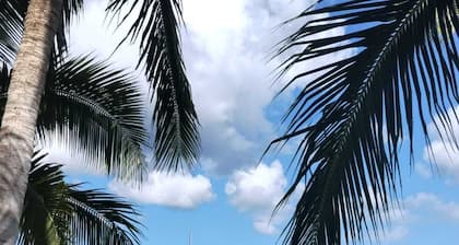 Sailboat for rent in Bacalar, Quintana Roo