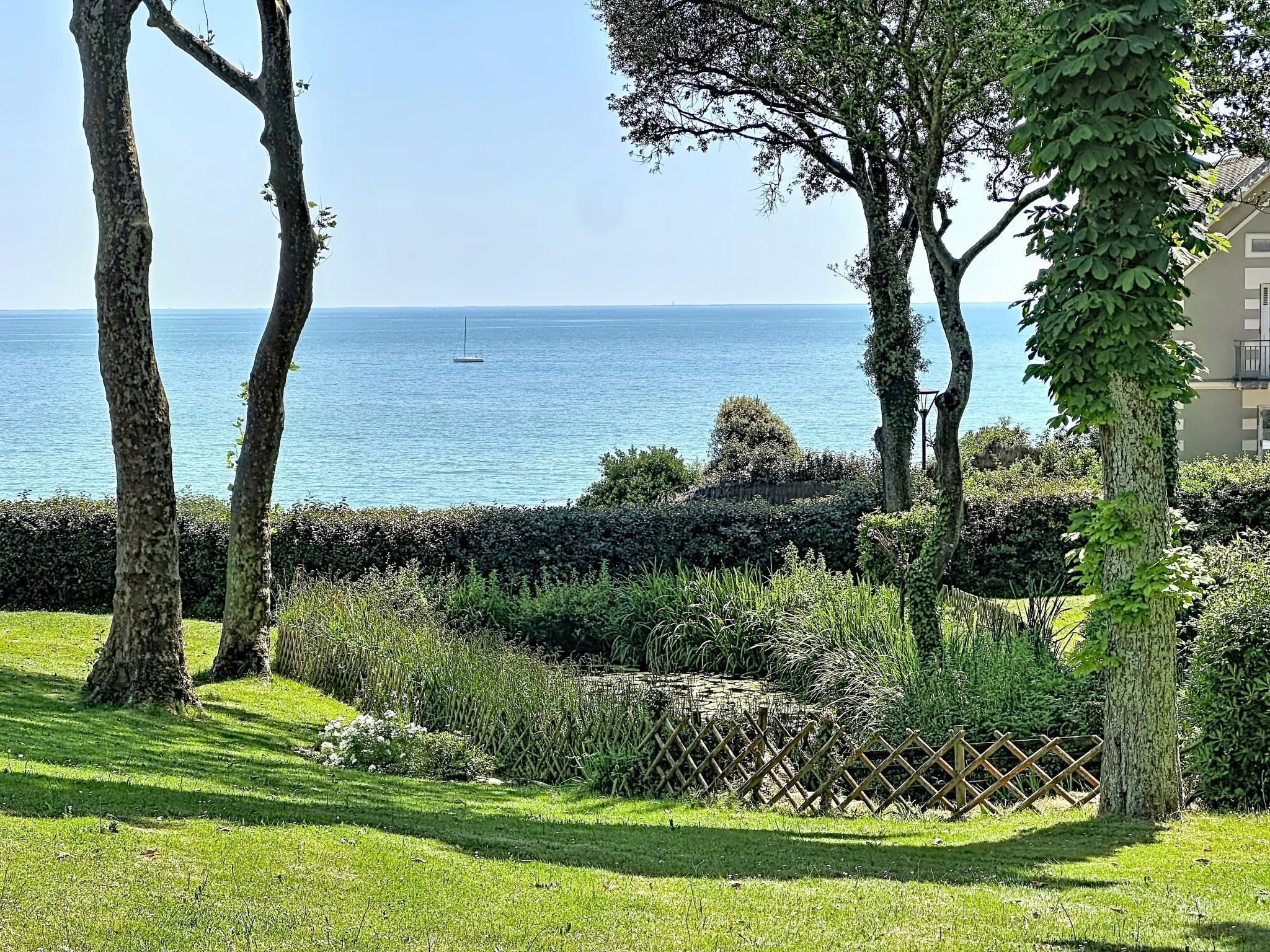 A coastal landscape with trees, a hedge, and a view of the sea.
