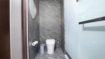 Ducha, secador de pelo, toallas y champú