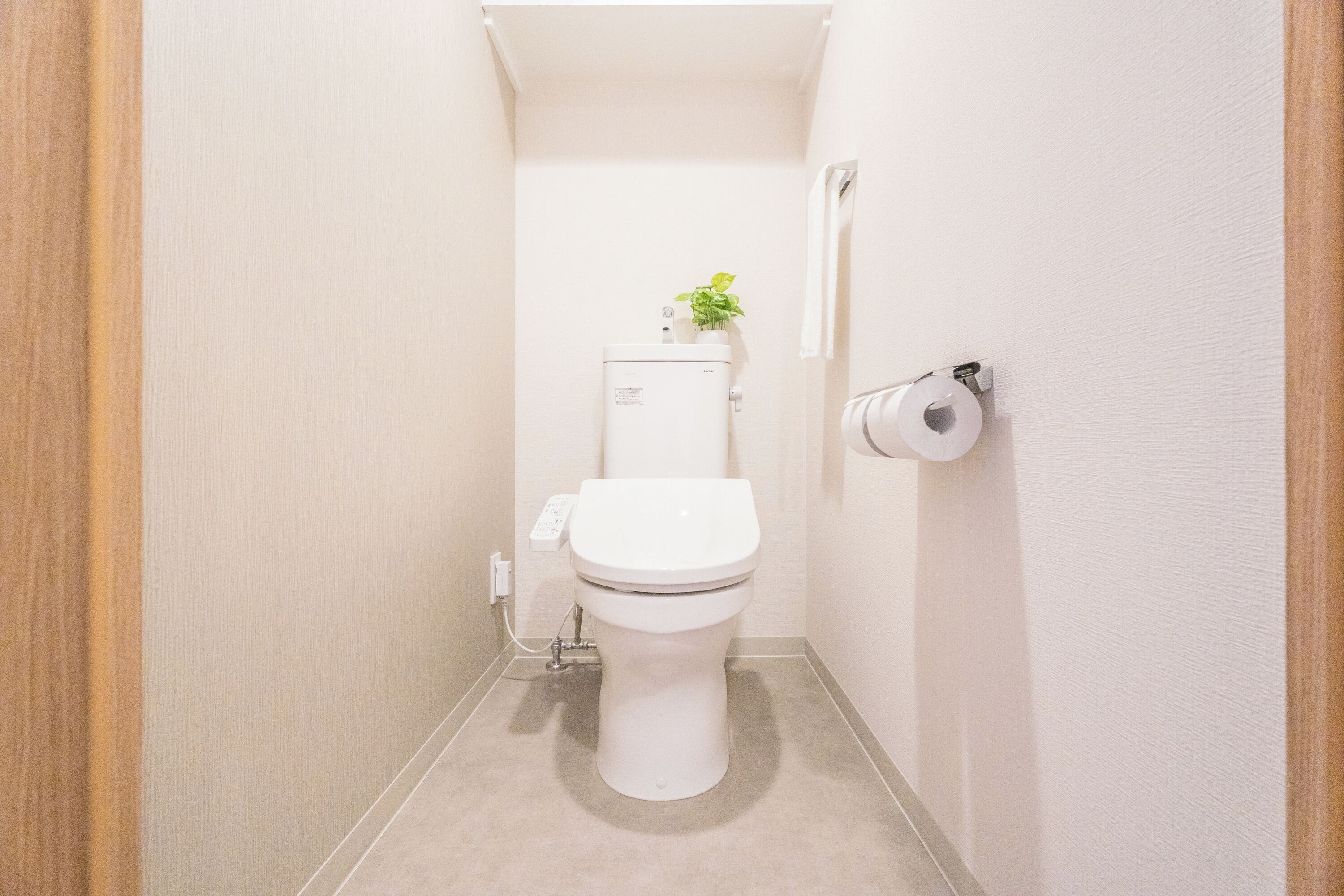 A small, narrow bathroom with a toilet, a toilet paper holder, and a small plant on the toilet tank.