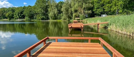 Un muelle de madera que se adentra en un lago tranquilo rodeado de abundante vegetación.