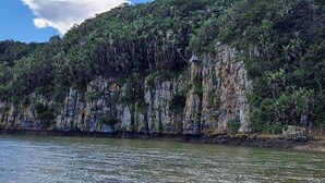 A coastal landscape with a rocky cliff and dense vegetation. - Tranquil 1-bedroom Apartment Near Gonubie Beach (East London)