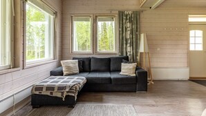 Une pièce avec un canapé gris foncé, un tapis à motifs et une grande fenêtre avec des rideaux.
