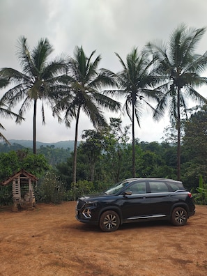 Un SUV noir est garé sur un chemin de terre, avec des palmiers et une petite construction en bois en arrière-plan.