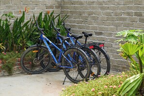 Three bicycles parked against a brick wall with greenery and flowers around. - Laco green Trang An (Tay Hoa Lu)
