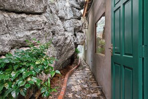 A narrow pathway leading to a green door, flanked by a stone wall and lush green foliage. - Laco green Trang An (Tay Hoa Lu)