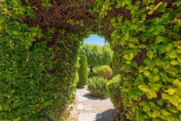 A garden pathway surrounded by lush greenery and neatly trimmed hedges.