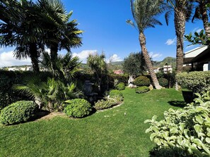 Un giardino curato con diverse piante e una fontana in pietra.